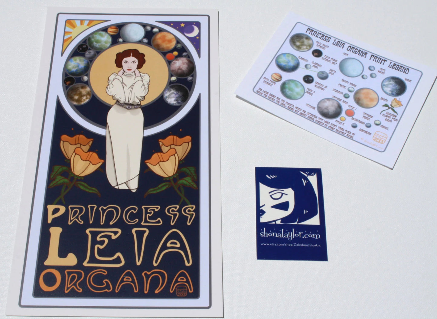 Princess Leia Art Print