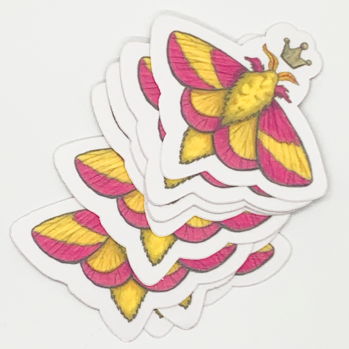 Rosy Maple Moth Vinyl Sticker